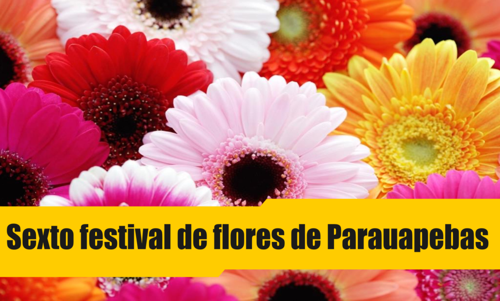 Sexto Festival de Flores de Parauapebas