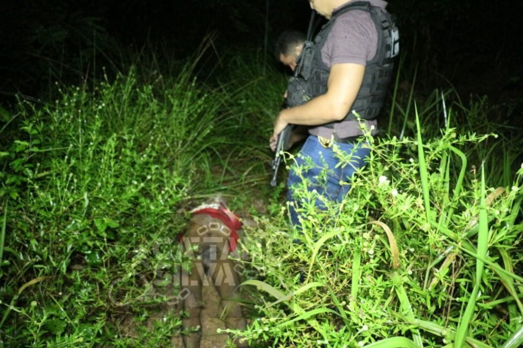 Homem mata ‘companheiro de cachaça’ a pauladas