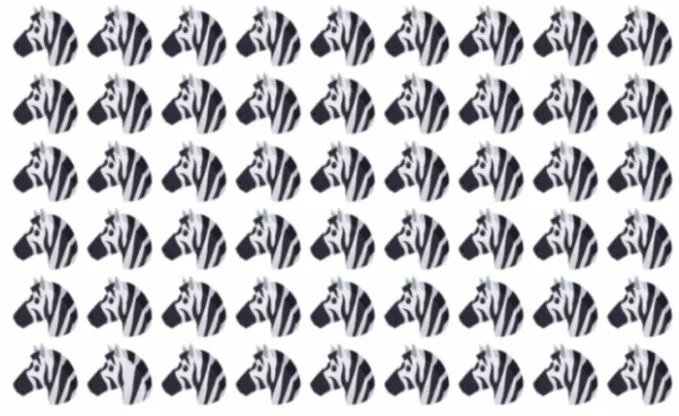 Desafio: Ache a zebra diferente