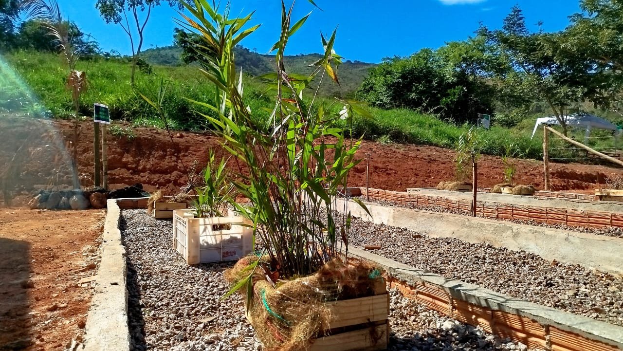 Mineradora Ligga inaugura viveiro de mudas