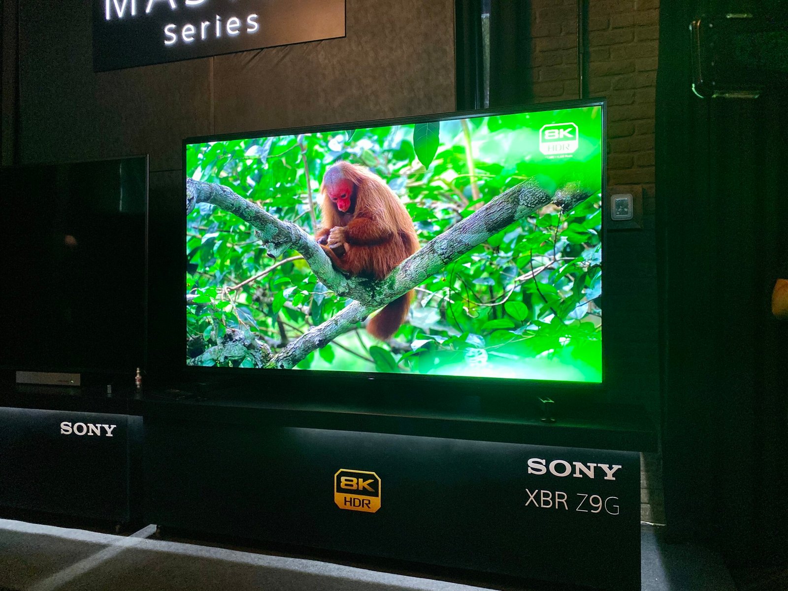 Sony Abandona Mercado de TVs 8K