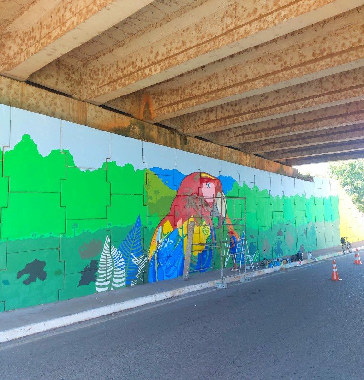 Arte destaca beleza amazônica nos viadutos de Marabá