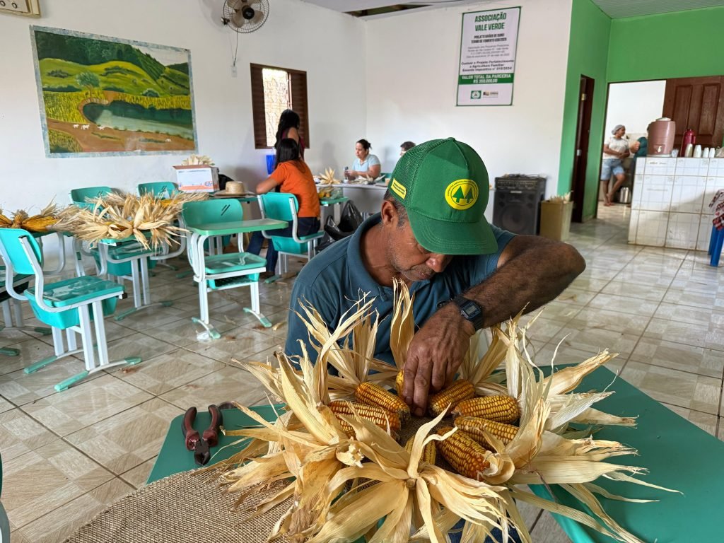 Festa da Colheita do Milho celebra safra em Canaã