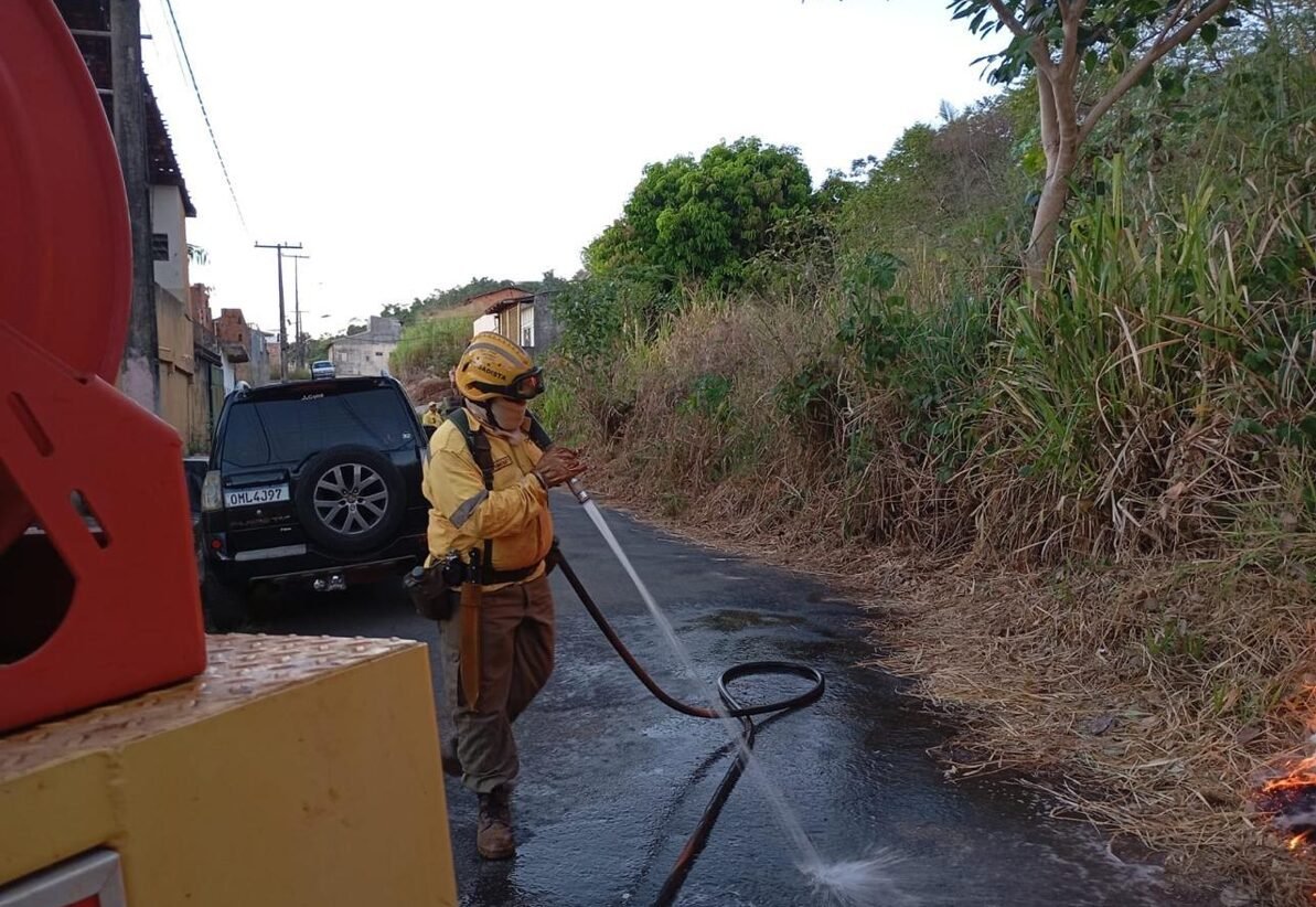 Queimadas em Parauapebas reduzem com fiscalização